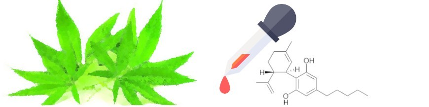 PRODUCTOS CBD