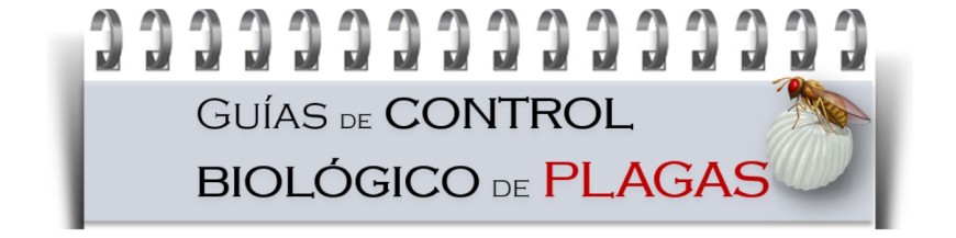 GUÍAS Y MANUALES