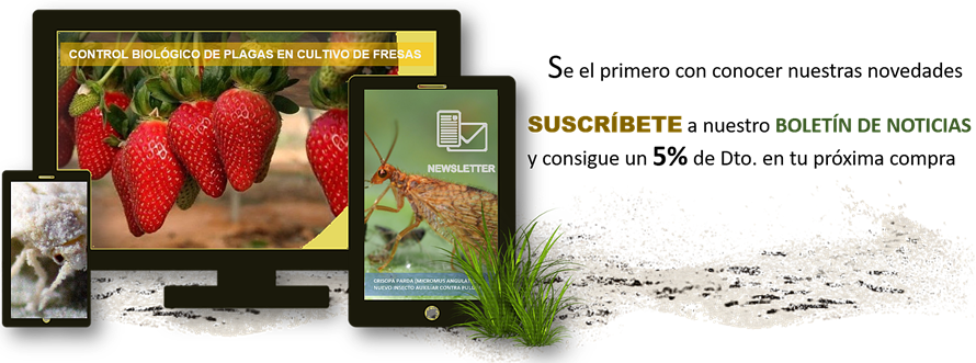 suscríbete a nuestra newsletter