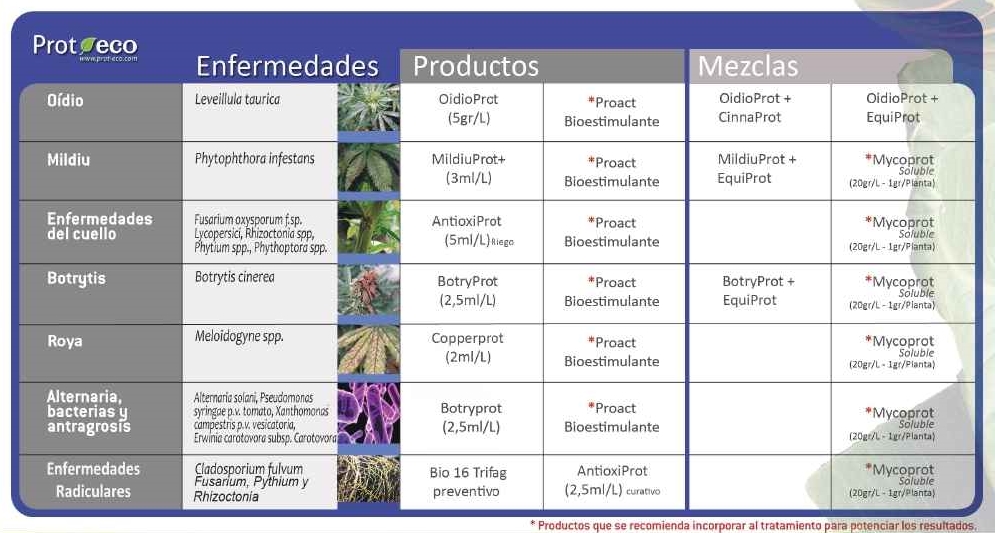 protocolo prot-eco para el control de enfermedade en cannabis