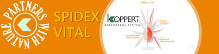 comprar spidex vital koppert online