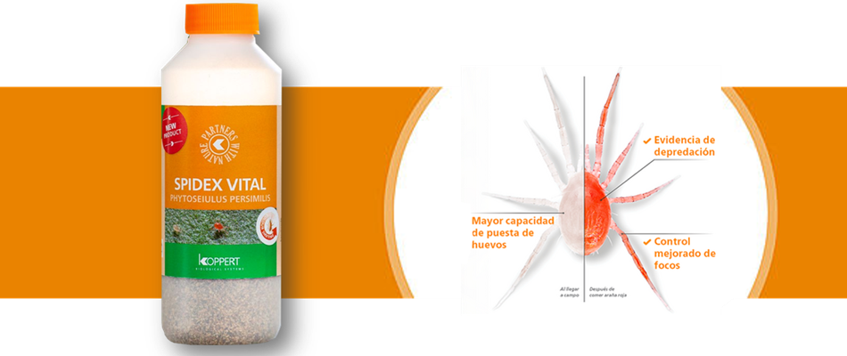 spidex vital de venta en control bío