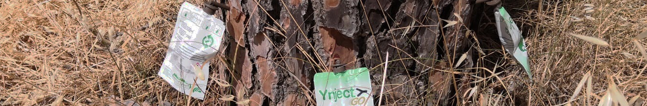 inyeccion en pinos