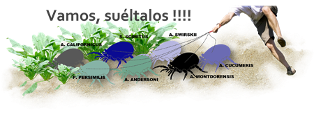 ácaros depredores de araña roja