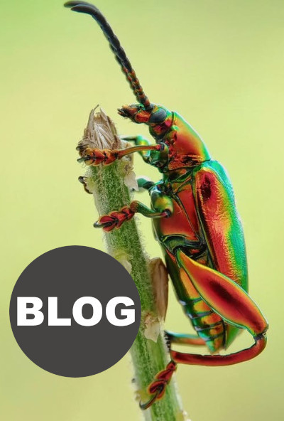Blog de Control Bio