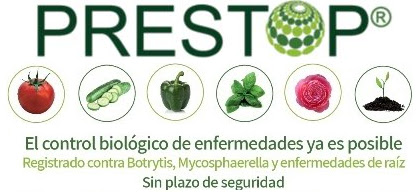 comprar prestop masso