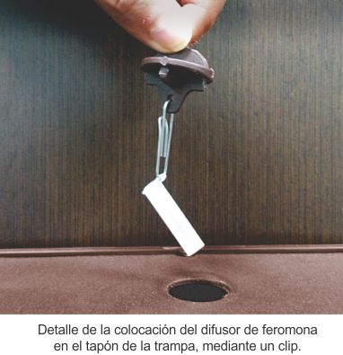 trampa g procesionaria colocacion difusor