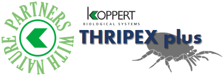 koppert cucumeris en sobre thripex