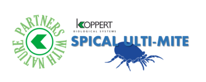 Comprar spical ulti-mite koppert