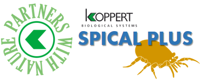 koppert spical plus araña roja