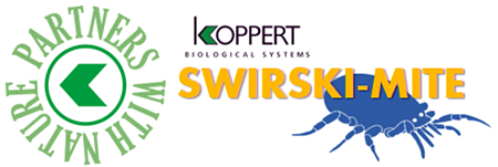 comprar swirskii en sobres koppert