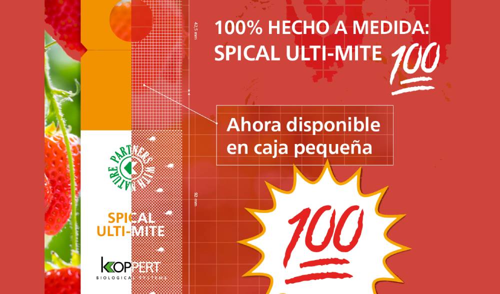 comprar californicus en sobres