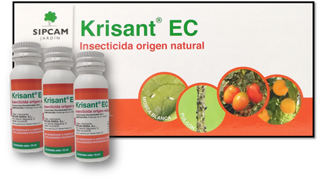 comprar piretrina natural