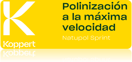 Venta de colmena natupol sprint