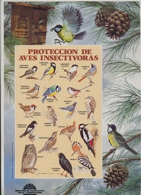 poster original del icona