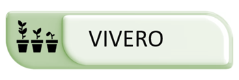vivero
