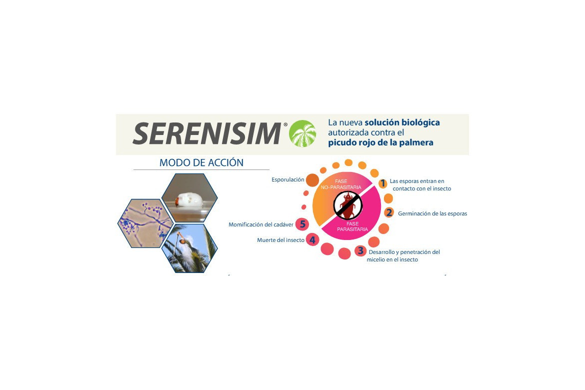 Serenisim biocontrol del picudo rojo