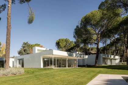 Solución a la procesionaria en jardines privados