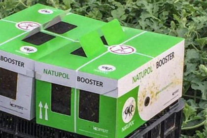 Natupol booster. Colmena para exterior de alto rendimiento