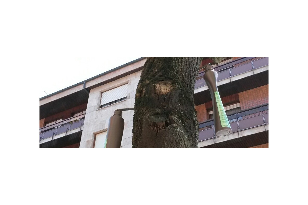 Tratamiento del pulgón en el arbolado urbano mediante endoterapia