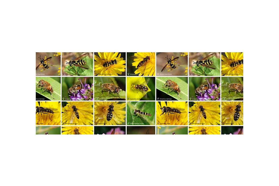 Fauna auxiliar para el control biológico de plagas. Catálogo 2014