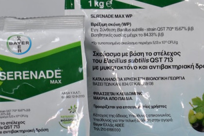 Uso de BACILLUS SUBTILIS como biofungicida en agricultura y jardinería