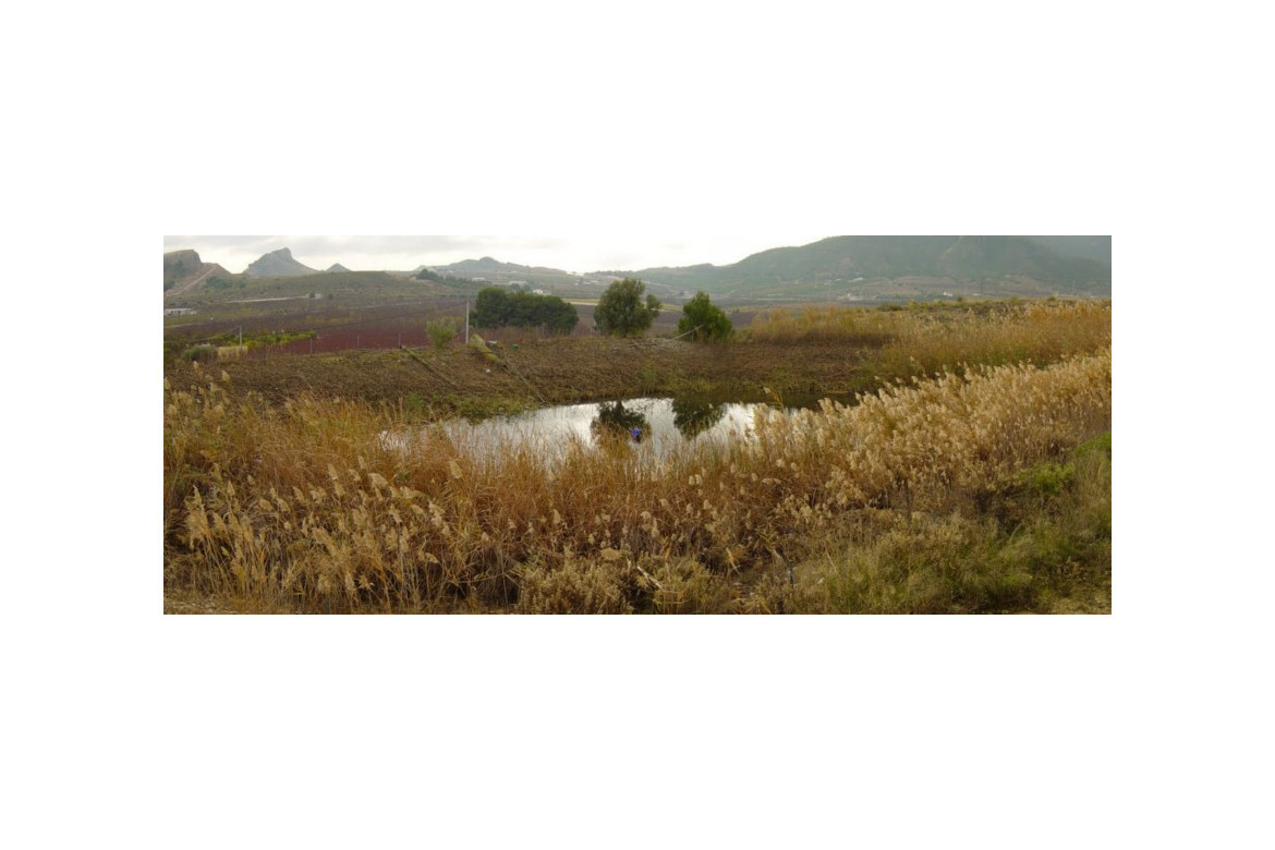 Tratamiento biológico de las balsas de riego