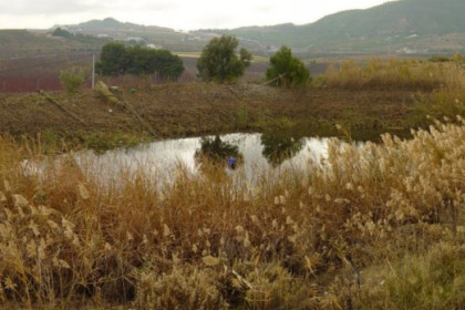 Tratamiento biológico de las balsas de riego
