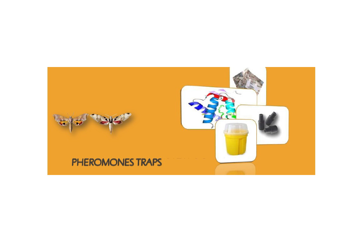 Trampas recomendadas para el trampeo de insectos plaga
