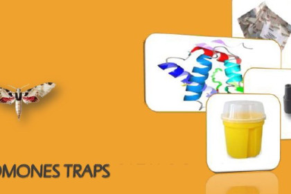 Trampas recomendadas para el trampeo de insectos plaga
