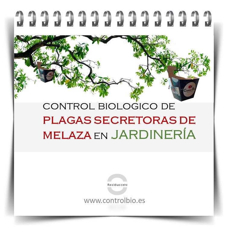 Control biológico de plagas secretoras de melaza en jardinería